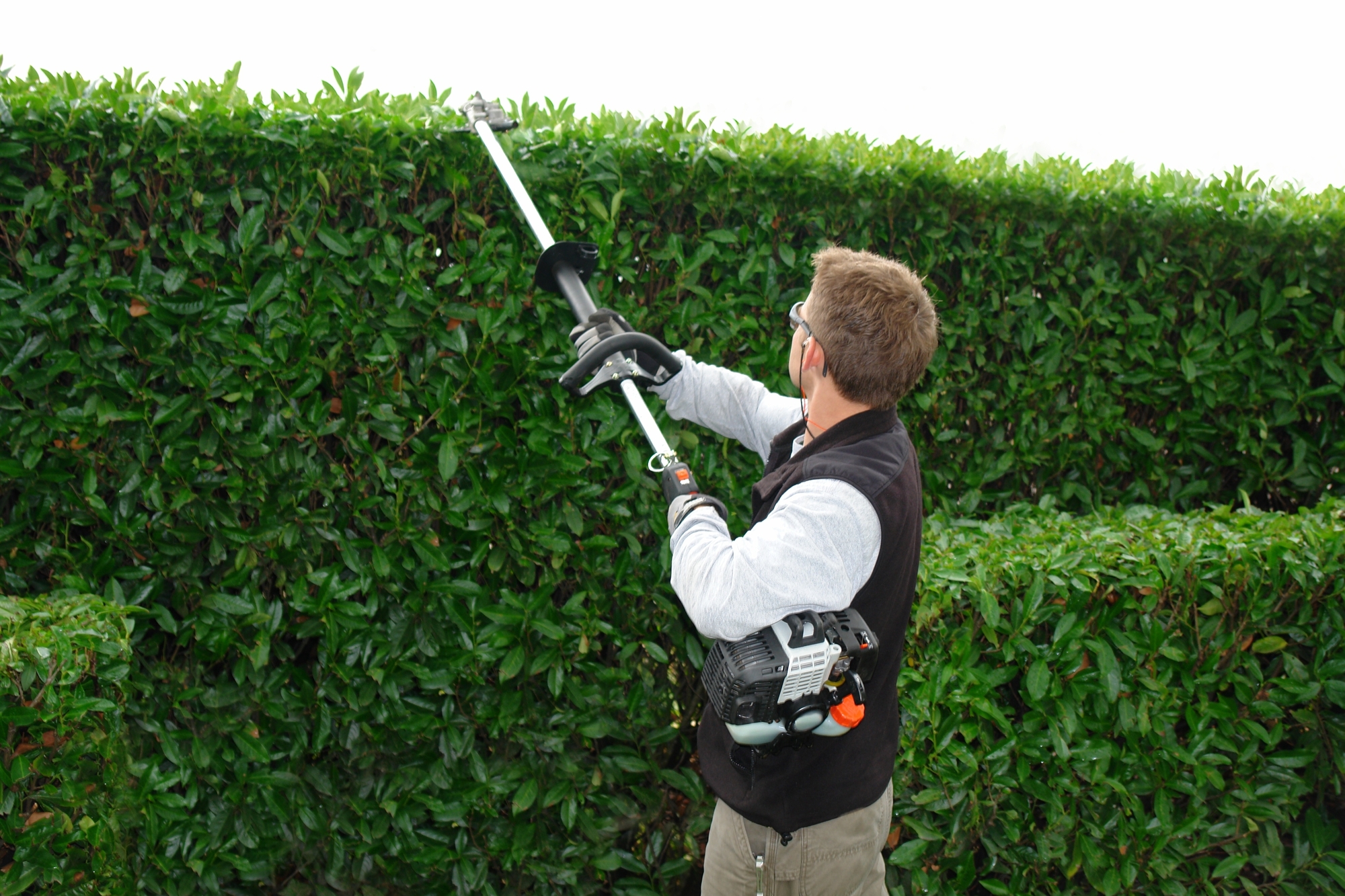 Hedge Trimming